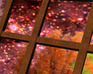 play 3D Difference Games - University Of Perceptions