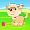 play Puppy The Cutest Dog