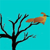 play Flying Bird