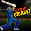 play Ultimate Cricket