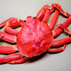 play Jigsaw: Red Crab