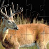 play Velvet Whitetail Buck Jigsaw