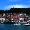 play Jigsaw: Harbor And Town