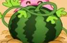 play Happy Watermelon Farm