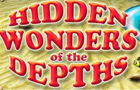 play Hidden Wonders Of The Dep