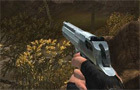 play Flash Crisis