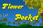 play Flower Pocket