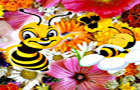 play Hidden Bee