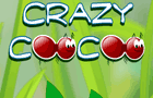 play Crazycoocoo