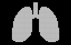 play Quitsmoking