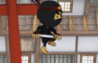 play Ninja Master