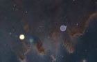 play Gravity Flock