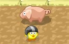 play Birdiz