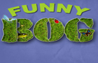 play Funny Bog