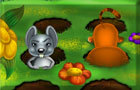 play Sisi The Mice Catcher