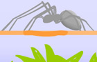 play Spider Fighting