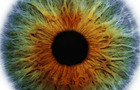 play 40 Optical Illusions 2