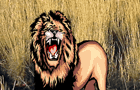 play Safari Sim