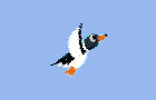 play Brutal Duck Hunt