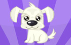 play Pretty Dog Contest