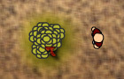 play Survival Z