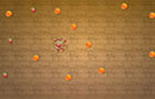 play Bond The Fruits