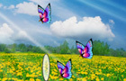 play Butterfly Specimen