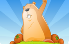 play Marmoot