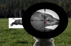 play Shooting Sports