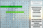 play Dubai Tower Connect