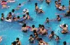 play Where'S Wade?