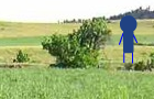 play Where'S Billy?