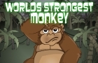 Worlds Strongest Monkey