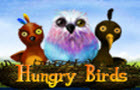 play Hungry Birds