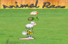 play Animal Race