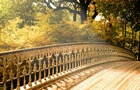 play Bridge Scene Jigsaw