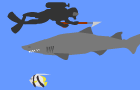 play Shark! (Open Source)