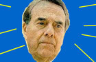 play Bob Dole Skateboarding