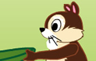 play Squirrel Mania