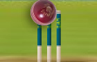 play Lv= Superspin Cricket