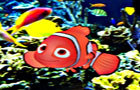 play Find The Nemo