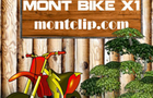 Mont Bike X1