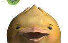 play Ducky The Duck The