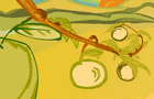 play Apple Attack