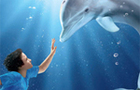 play Hidden Numbers-Dolphin Ta