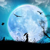 play Beautiful Night