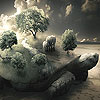 play Interesting Turtle Slide Puzzle