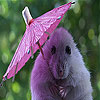 play Umbrella And Mouse Slide Puzzle