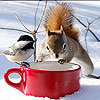 play Hungry Friends Slide Puzzle