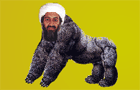 play Bombin' Bin Laden